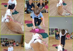 Dzieci karmią psa z miseczki