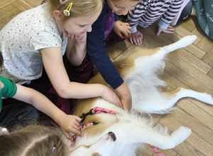 Dogoterapia – ostatnie spotkanie z psem przed wakacjami