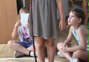 Mania i jej łańcuch