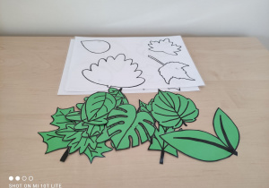 III miejsce- zdjęcie przedstawia białe kartki z konturami liści, obok leżą zafoliowane liście z zielonego papieru.