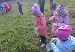 Zdjęcie przedstawia dzieci na polanie leśnej, które zbierają do torebek żółte kwiatki.