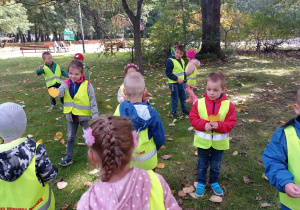 Zdjęcie przedstawia dzieci, które znajdują się w parku. Dzieci są ubrane w kamizelki odblaskowe. Zbierają kolorowe liście.